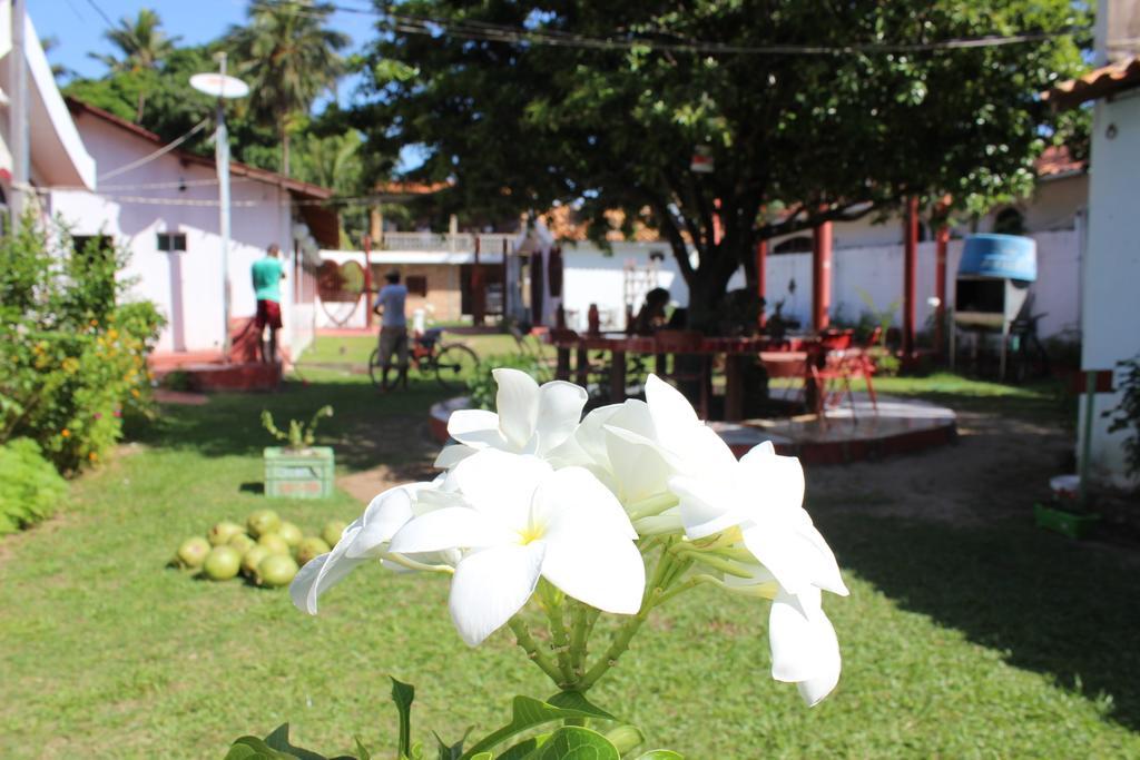 Pousada Dos Coracoes Hotel Salvaterra Exterior photo